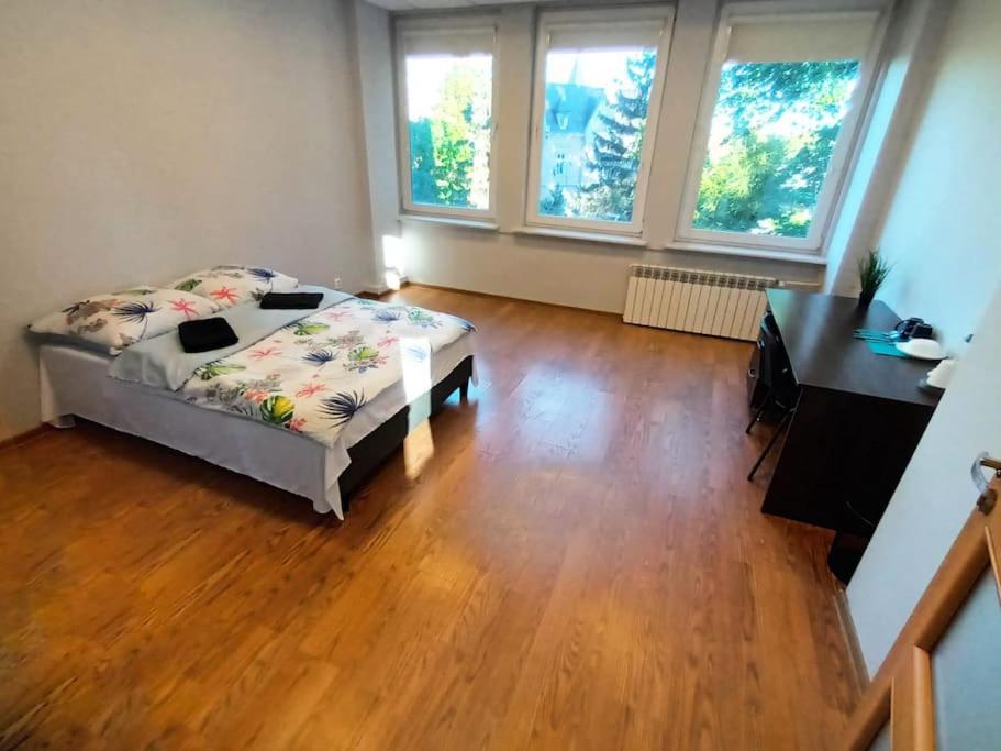 Fantastic Zg - S4 Pokoj 209 Зелёна-Гура Экстерьер фото